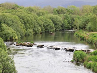 A river with a small stone weir surrounded by dense green trees and vegetation at Llety'r Bugail 2 in Llanrug