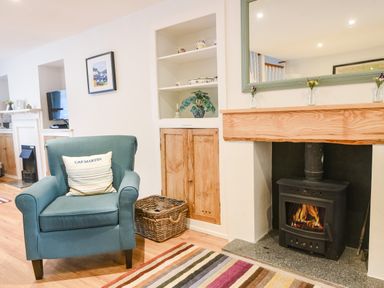 A sitting area with a teal armchair a striped rug and a wood burning stove at Nutwood in Charmouth