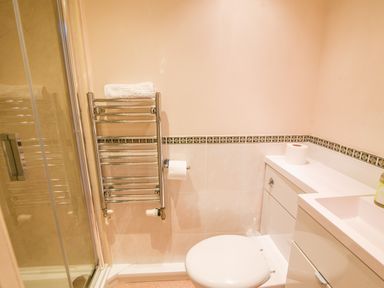 A bathroom with a toilet a towel rail with a towel a roll of toilet paper and a shower at Nutwood in Charmouth