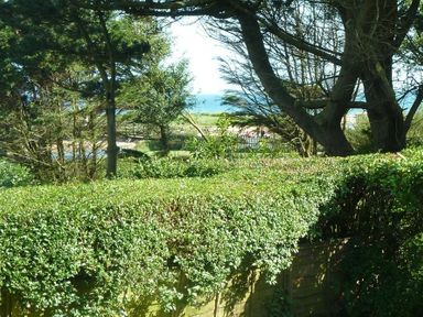 A green hedge with trees and a view of the sea in the background at Willows in Charmouth