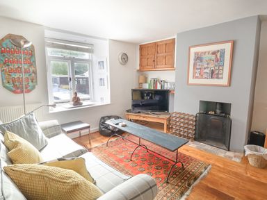 A living room with a sofa a coffee table a television a fireplace and bookshelves at Coombe Street Cottage in Lyme Regis