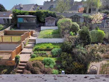 A garden with tiered lawns steps wooden fences sheds and bushes at Ivy Cottage in Beer
