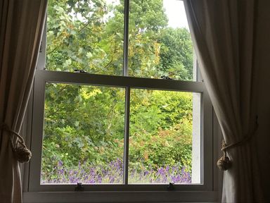 A window with curtains tied back showing green trees and purple flowers outside at Bethel Cottage in Lyme Regis