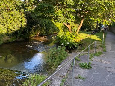 A pathway with a metal railing beside a small river and trees with benches along the grassy area at Bethel Cottage in Lyme Regis