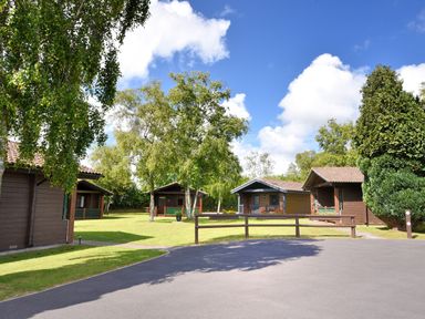 Several wooden cabins on a grassy area with trees and a paved driveway at 4 Pinewood Retreat in Pinewood