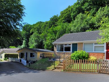 A residential street with one house and a small building surrounded by trees at 36 Fernhill Heights in Charmouth