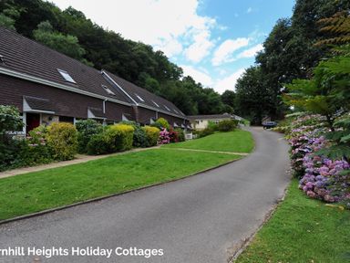 Row of cottages with bushes and flowers alongside a curved road with trees in the background at 36 Fernhill Heights in Charmouth