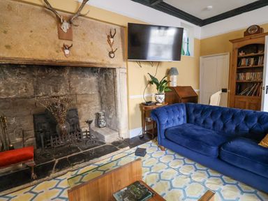 A living room with a blue sofa a stone fireplace mounted television and wooden bookshelf at Old Monmouth in Lyme Regis