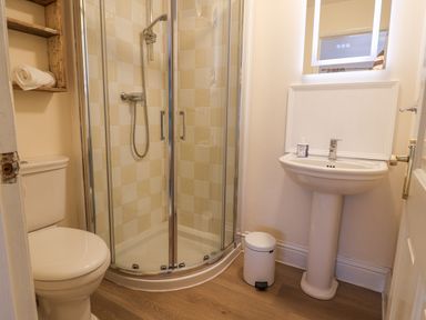 A bathroom with a shower enclosure toilet sink trash bin and wooden shelves at Old Monmouth Lyme Regis