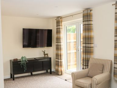 A living room with a wall-mounted TV a black cabinet a striped armchair and a glass door with plaid curtains at Sawtons Cottage 2 in Dawlish