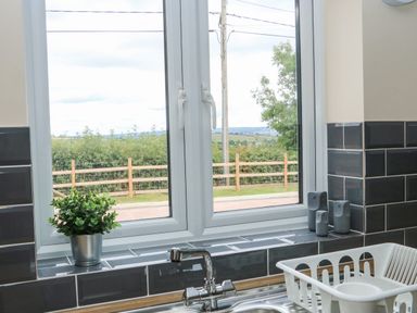 A kitchen sink area with a faucet a window overlooking a fence and greenery a small potted plant and three decorative owl figurines on the windowsill at Sawtons Cottage 2 in Dawlish