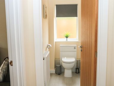 A small bathroom with a toilet a window with a blind a plant on the windowsill and a wooden door at Sawtons Cottage 2 in Dawlish