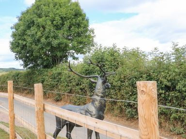 A black deer statue behind a wooden fence next to a hedge and tree at Sawtons Cottage 2 in Dawlish
