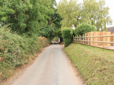 A narrow country road with trees and bushes on the left and a wooden fence and grassy bank on the right at Sawtons Cottage 2 in Dawlish