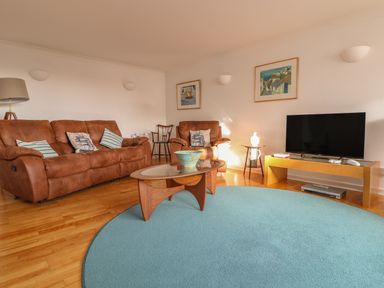 A living room with brown sofas a glass coffee table a blue round rug a television on a wooden stand and framed paintings on the walls at Port View in Falmouth