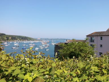 A view of boats on a body of water with green plants in the foreground and buildings on the right at Port View in Falmouth