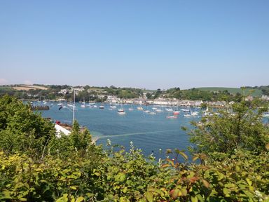 A view of a harbor with boats and houses on the shore with greenery in the foreground at Port View in Falmouth