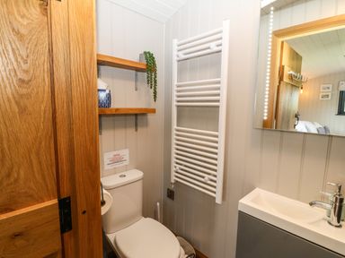 A bathroom with a toilet, wooden shelves, a towel radiator, a sink with a faucet, and a mirror at Cwt Y Rhos in Valley
