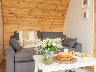 A gray sofa with cushions and a striped blanket in a wooden room with a white coffee table holding a vase of flowers and a cake at Primrose in Seaton near Hornsea
