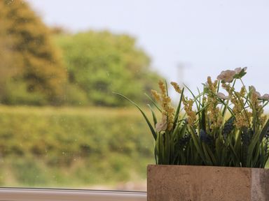 A flower pot with artificial flowers on a windowsill with trees outside at Primrose in Seaton near Hornsea