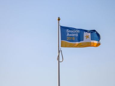 A flag on a pole with the text Seaside Award 2018 against a clear sky