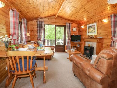 A living room with wooden walls and ceiling a dining table with chairs and a sofa near a fireplace with a TV and patio doors at Robins Nest Number 12 Burnside Park near Keswick