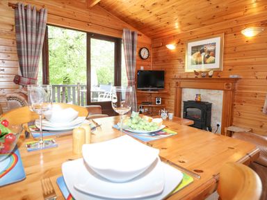 A dining area with a wooden table set with plates glasses and grapes in a room with wood paneling and a fireplace with a television mounted on the wall at Robin's Nest Number 12 Burnside Park near Keswick