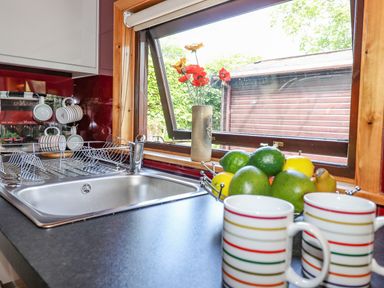 A kitchen sink with a drying rack a vase with flowers on the windowsill and two striped mugs at Robin's Nest Number 12 Burnside Park near Keswick