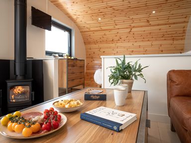 A living room with a wood stove a wooden table with snacks books and plants at Low Longlands in Cartmel