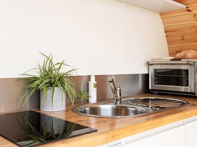 A kitchen countertop with a plant a sink a toaster oven and a stovetop at Low Longlands in Cartmel