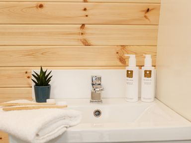 A bathroom sink with a folded white towel and two toothbrushes a small plant in a blue pot and hand wash and shower gel bottles at Low Longlands in Cartmel