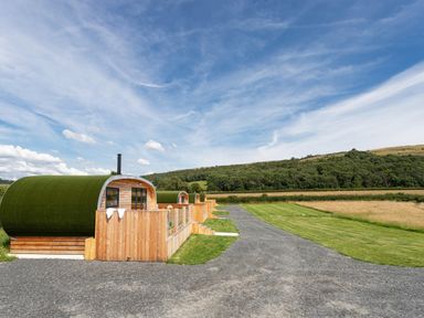 A row of wooden pod cabins with green roofs and fenced patios beside a gravel path in a countryside setting at Low Longlands in Cartmel
