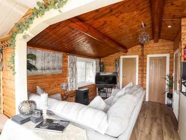 A living room with a grey sofa a television wooden walls and ceiling at Ty Coed - 63 in Bronaber near Trawsfynydd