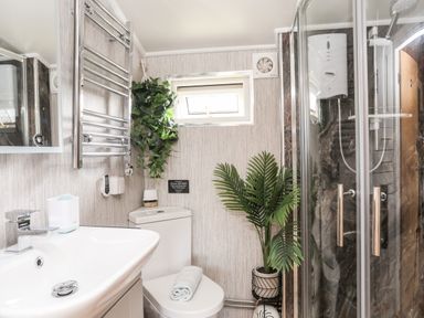 A bathroom with a sink toilet shower and plants at Ty Coed - 63 Bronaber near Trawsfynydd