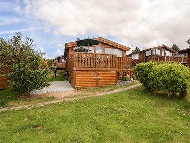 A wooden cabin with a front deck and green umbrella surrounded by bushes and grass at Ty Coed - 63 in Bronaber near Trawsfynydd