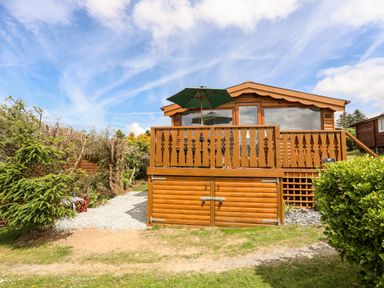 A wooden cabin with a deck and green umbrella surrounded by shrubs at Ty Coed - 63 in Bronaber near Trawsfynydd