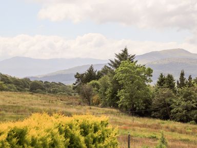 A rural landscape with grassy fields trees and mountains in the background at Ty Coed - 63 in Bronaber near Trawsfynydd