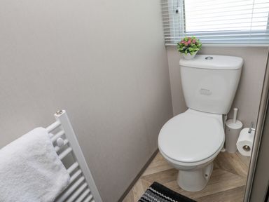 A bathroom with a toilet a toilet brush a toilet paper roll a towel on a rack and a small plant on the toilet tank at Jeans Place in East Heslerton near West Heslerton
