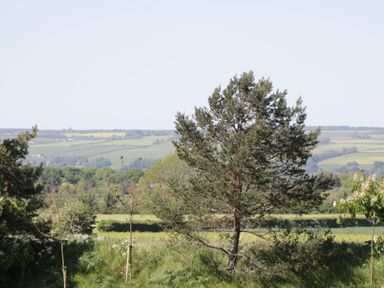 A landscape with trees and fields at Jean's Place in East Heslerton near West Heslerton