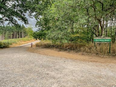 A gravel path leading into a wooded area with a sign for West Bilney Wood at Little Lodge in Pentney near Kings Lynn
