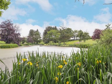 A pond surrounded by green plants and yellow flowers with trees and grassy hills in the background at High Rigg Shepherd's Sunrise in Brampton Cumbria