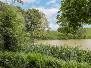 A pond surrounded by green plants and trees under a partly cloudy sky at High Rigg Shepherd's Sunrise in Brampton Cumbria