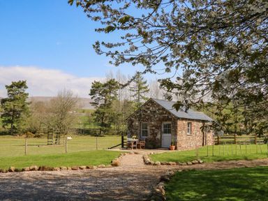 A small stone cottage with a gravel path in a green field surrounded by trees at Herdie Hideaway in Appleby-In-Westmorland