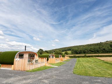 Four wooden cabins with curved green roofs beside a gravel pathway and grassy area at High Longlands in Cartmel