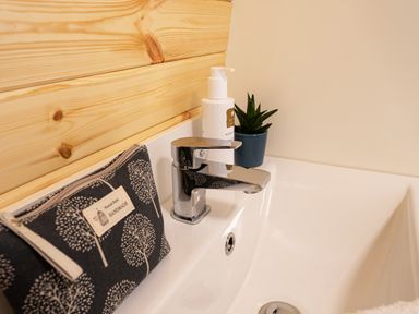 A bathroom sink with a silver faucet a black toiletry bag a white soap dispenser and a small potted plant at Little Heaning in Cartmel
