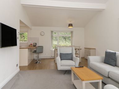A living room with armchair sofa coffee table and wall mounted tv at Harcombe House Bungalow 11 in Chudleigh