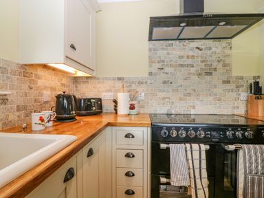 A kitchen corner with a stovetop oven kettle toaster paper towels and mugs at The Lodge in Blairgowrie