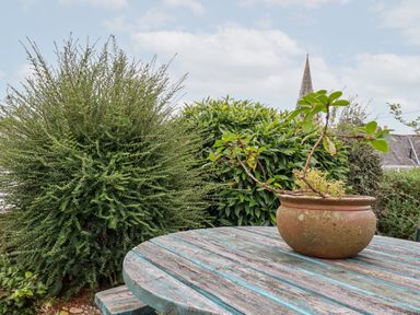 A round wooden table with a potted plant on it and large bushes in the background at 2 Old Talbot Cottages in Lostwithiel