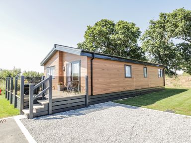 A wooden cabin with a small porch and chairs surrounded by trees and gravel parking at Brighter Daze in Carnaby near Bridlington