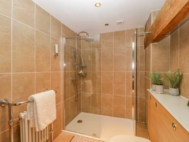 A bathroom with a walk-in shower a towel rack with a towel and a cabinet with plants at Pentre Court Cottage in Abergavenny
